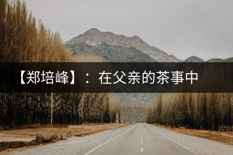 【鄭培峰】:在父親的茶事中成長 【鄭培峰】:在父親的茶事中成長