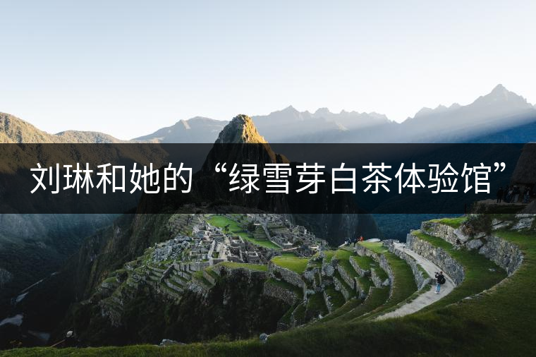 劉琳和她的“綠雪芽白茶體驗(yàn)館”