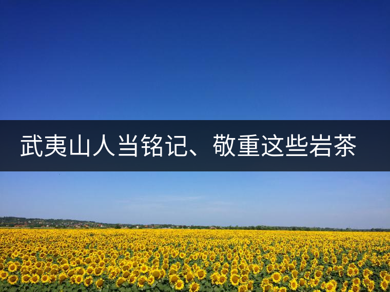 武夷山人當銘記、敬重這些巖茶功臣