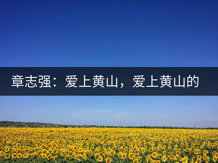 章志強:愛上黃山,愛上黃山的茶 章志強:愛上黃山,愛上黃山的茶