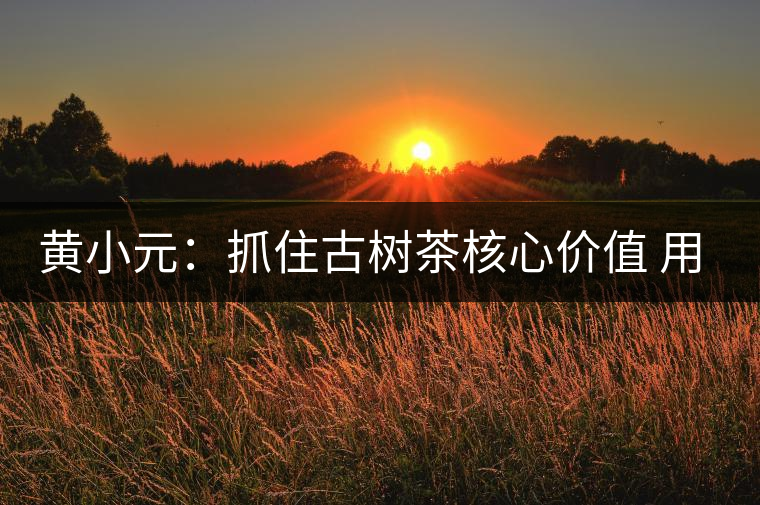黃小元：抓住古樹茶核心價(jià)值 用古樹茶撬動(dòng)時(shí)代