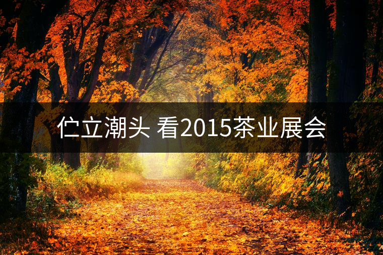 佇立潮頭 看2015茶業(yè)展會(huì)
