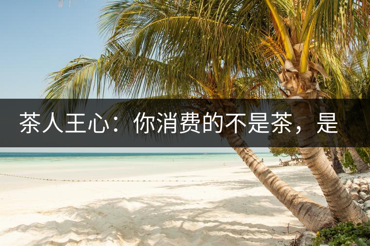 茶人王心：你消費(fèi)的不是茶，是我