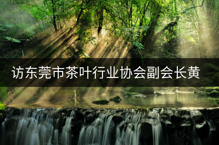 訪東莞市茶葉行業(yè)協(xié)會副會長黃志芳