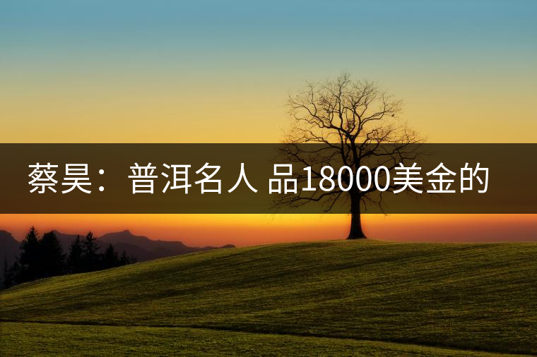 蔡昊：普洱名人 品18000美金的“宋聘號”