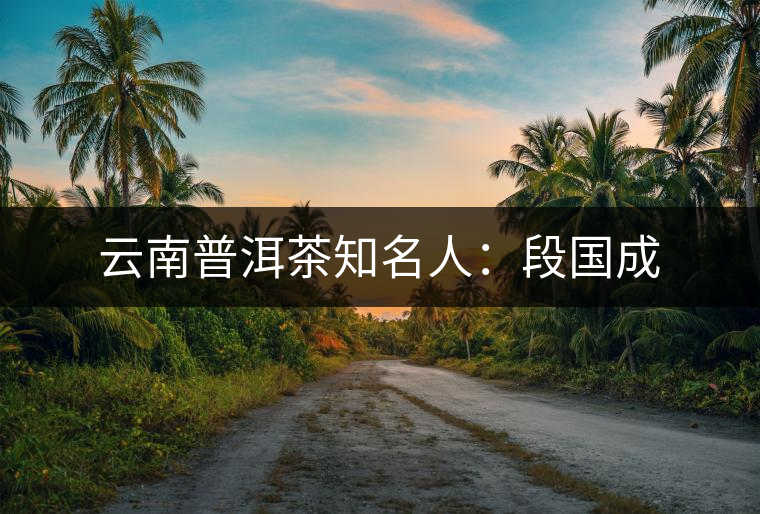 云南普洱茶知名人：段國(guó)成