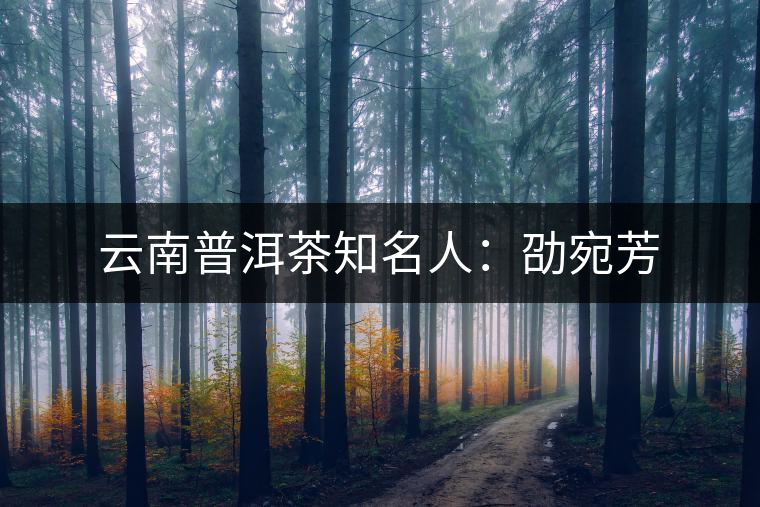 云南普洱茶知名人：劭宛芳