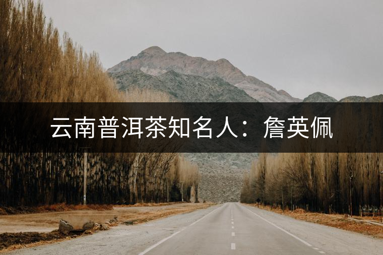云南普洱茶知名人：詹英佩