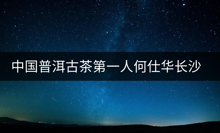 中國普洱古茶第一人何仕華長沙暢談普洱