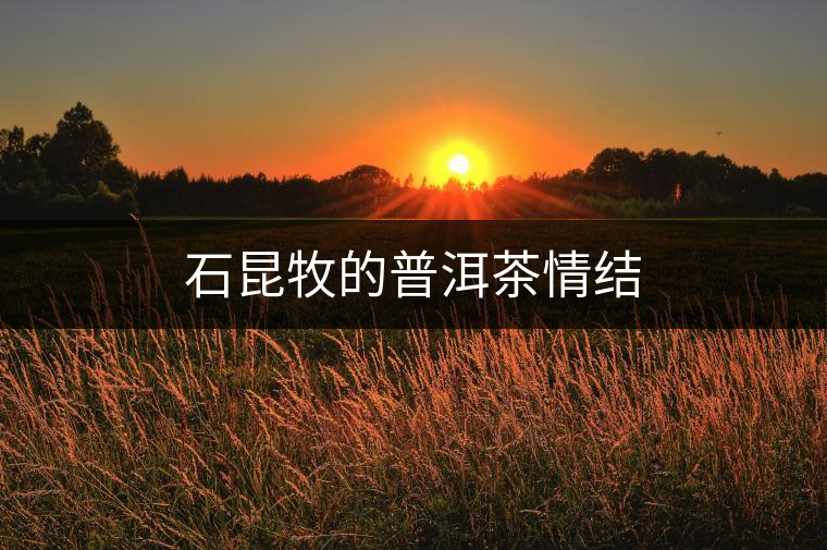 石昆牧的普洱茶情結(jié)
