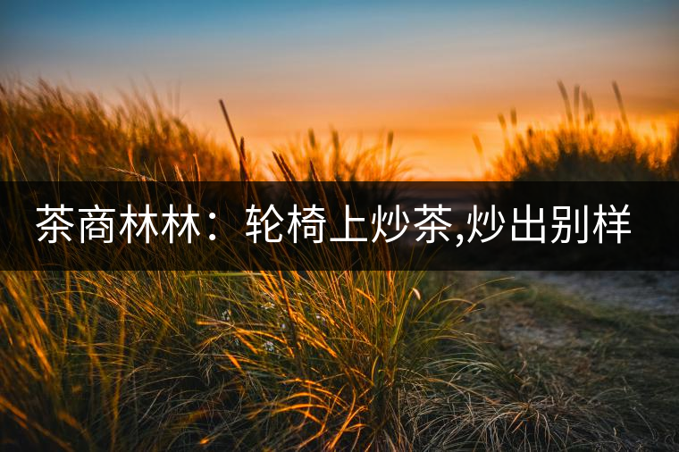 茶商林林：輪椅上炒茶,炒出別樣的一生！