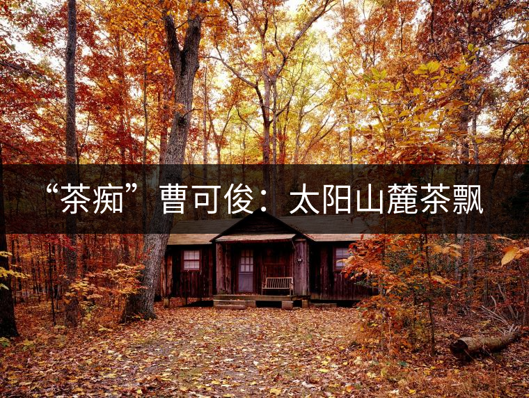 “茶癡”曹可?。禾柹铰床栾h香，清明時節(jié)采茶忙