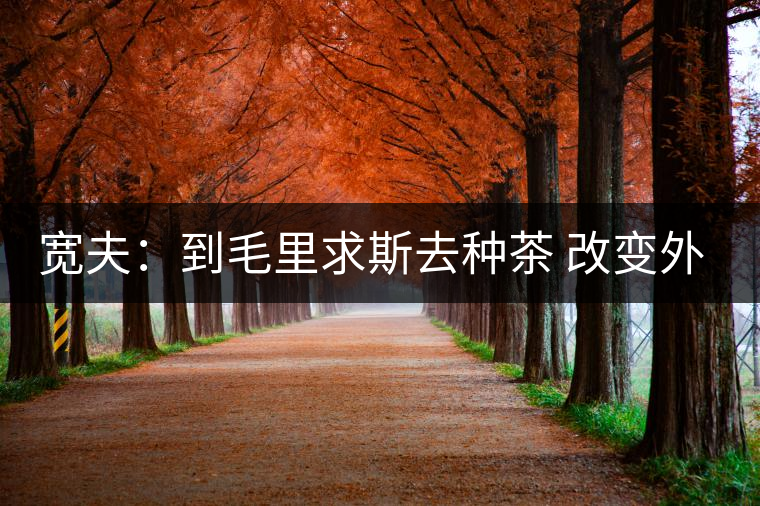 寬夫：到毛里求斯去種茶 改變外國(guó)人喝茶沒(méi)底線(xiàn)