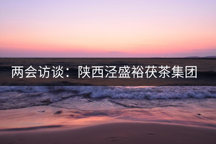 兩會(huì)訪談：陜西涇盛裕茯茶集團(tuán)董事長馬恒光