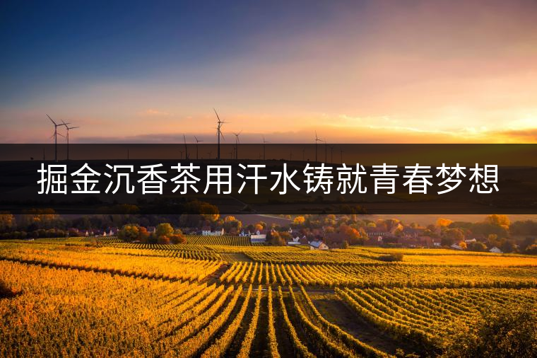 掘金沉香茶用汗水鑄就青春夢想