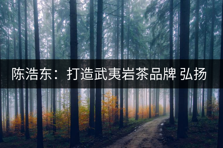 陳浩東：打造武夷巖茶品牌 弘揚中華茗茶文化