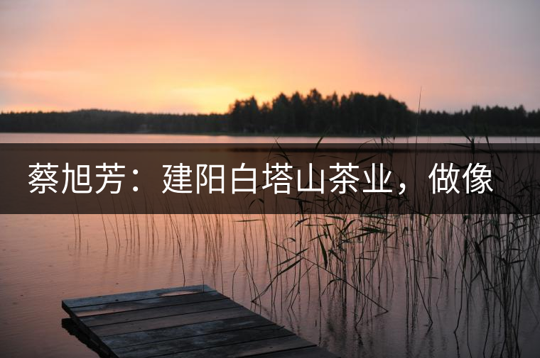 蔡旭芳：建陽白塔山茶業(yè)，做像朋友一樣的茶