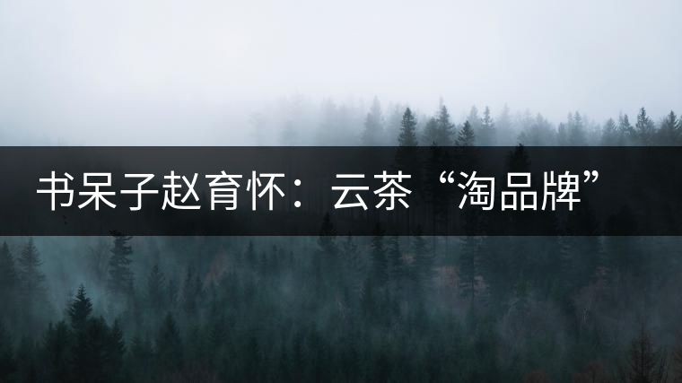 書(shū)呆子趙育懷:云茶“淘品牌”的進(jìn)化之路 書(shū)呆子趙育懷:云茶“淘品牌”的進(jìn)化之路