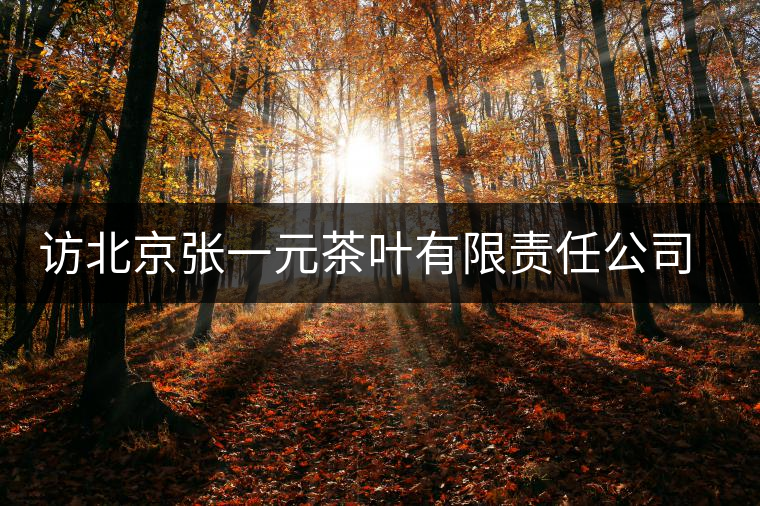 訪北京張一元茶葉有限責(zé)任公司董事長王秀蘭