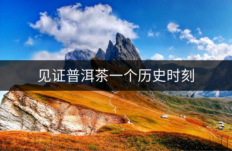 見證普洱茶一個歷史時刻