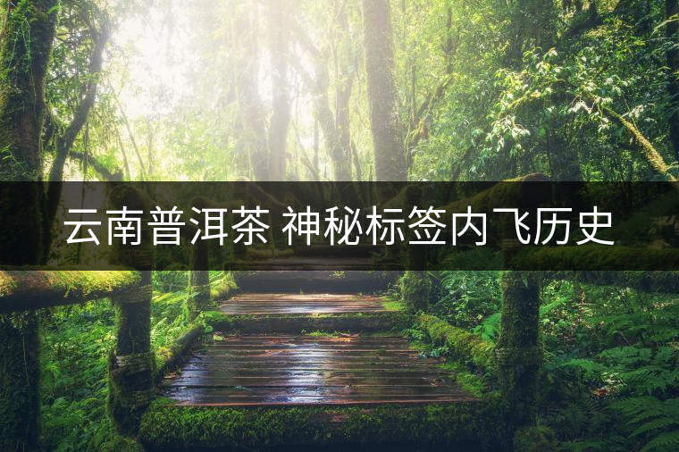 云南普洱茶 神秘標(biāo)簽內(nèi)飛歷史 云南普洱茶 神秘標(biāo)簽內(nèi)飛歷史