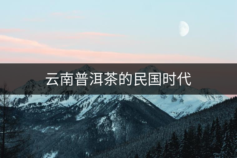 云南普洱茶的民國(guó)時(shí)代 云南普洱茶的民國(guó)時(shí)代