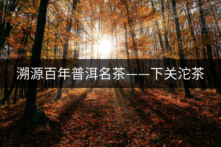 溯源百年普洱名茶——下關(guān)沱茶