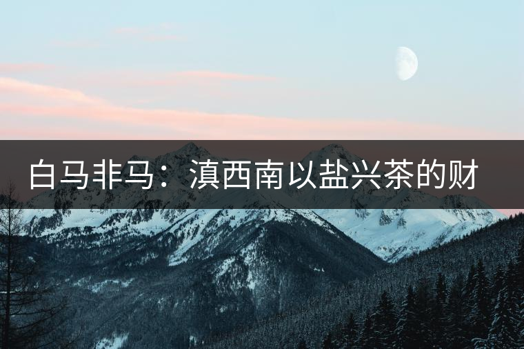 白馬非馬：滇西南以鹽興茶的財富密碼