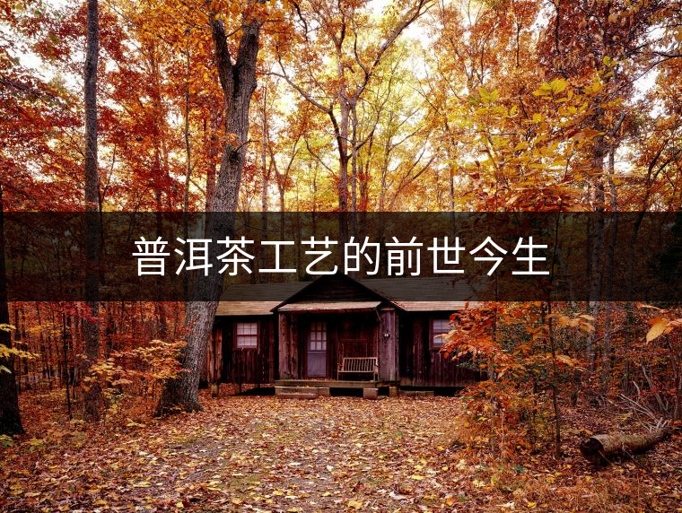 普洱茶工藝的前世今生