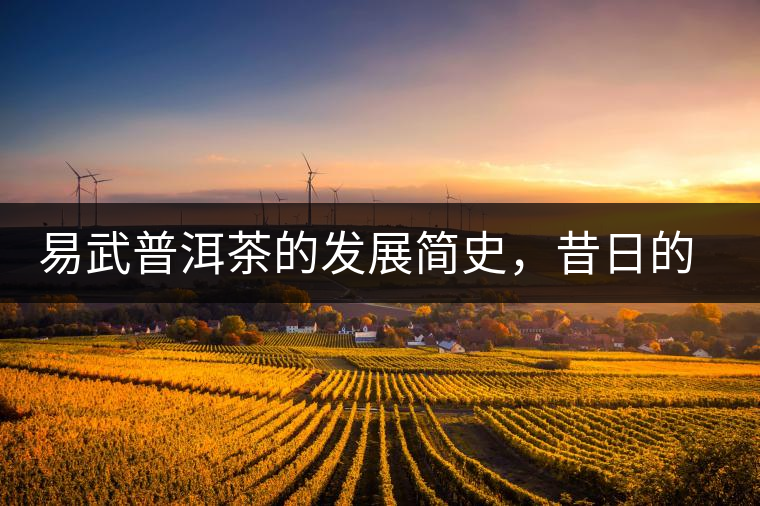 易武普洱茶的發(fā)展簡(jiǎn)史，昔日的貢茶如今依然輝煌