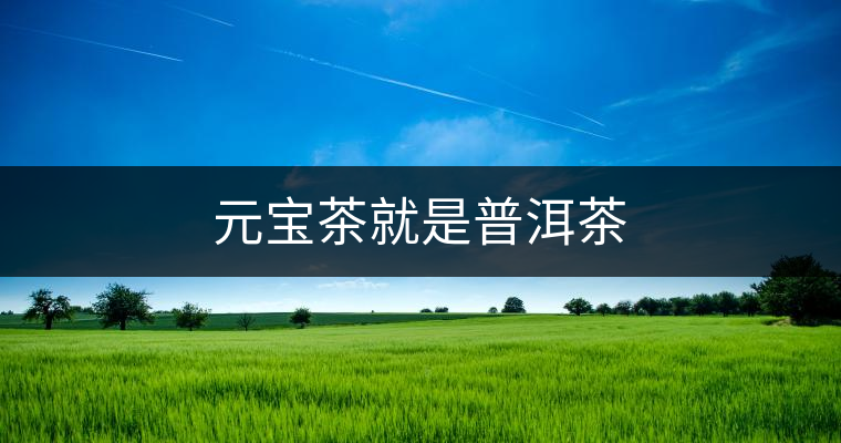 元寶茶就是普洱茶