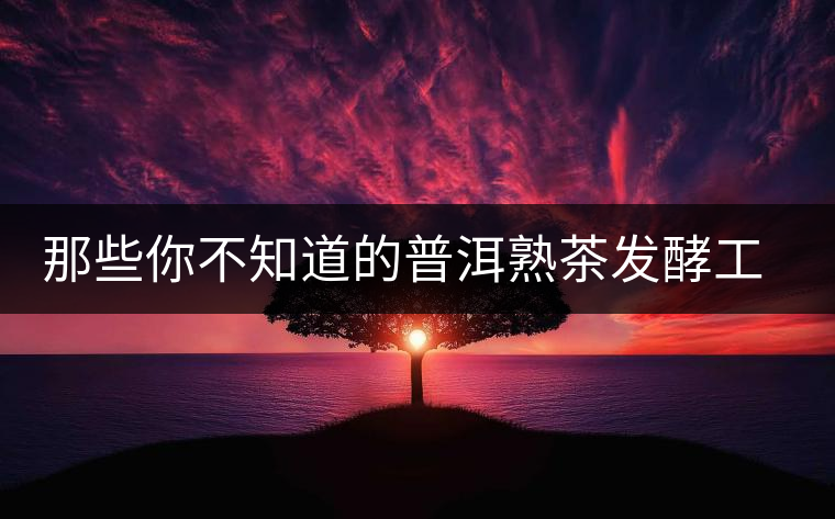 那些你不知道的普洱熟茶發(fā)酵工藝歷史 那些你不知道的普洱熟茶發(fā)酵工藝歷史
