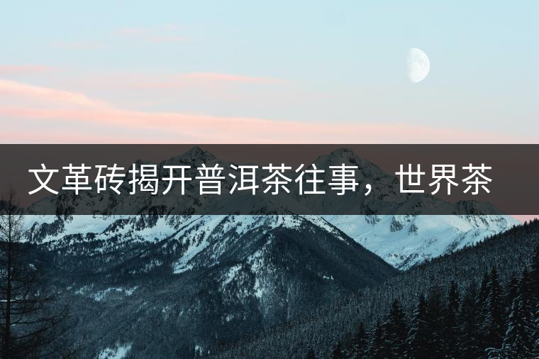 文革磚揭開普洱茶往事，世界茶文化交流協(xié)會成員共品經(jīng)典文革磚！