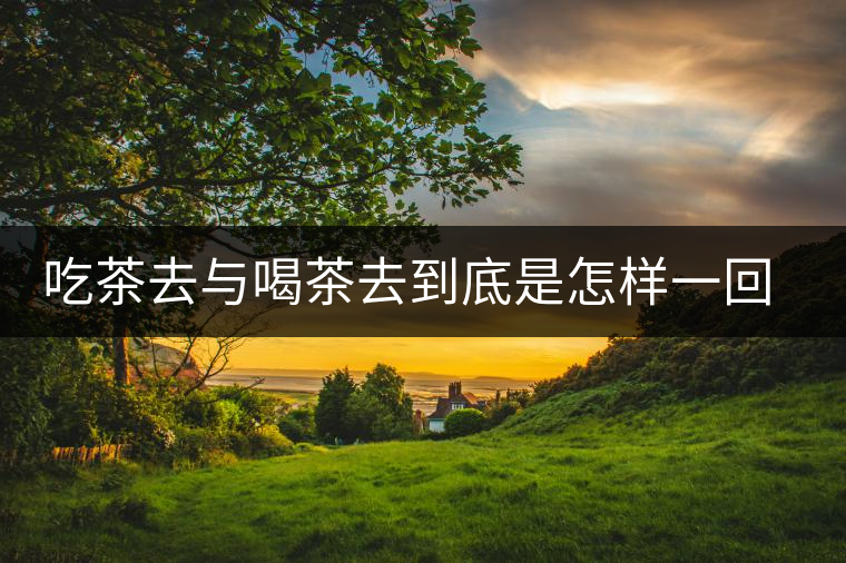 吃茶去與喝茶去到底是怎樣一回事呢