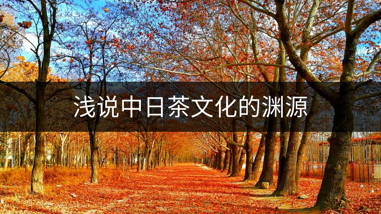 淺說中日茶文化的淵源
