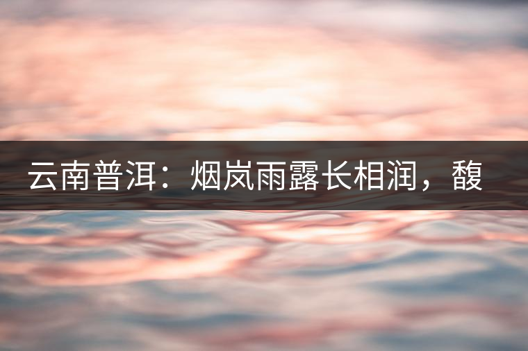 云南普洱：煙嵐雨露長相潤，馥郁芳香久久留