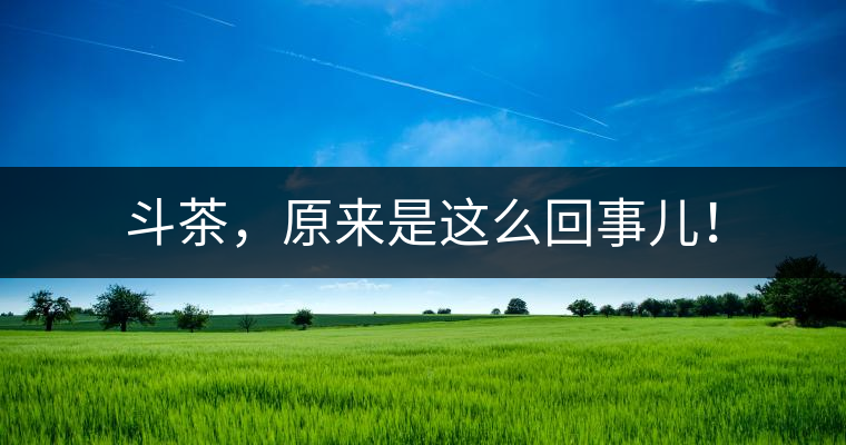 斗茶，原來是這么回事兒！