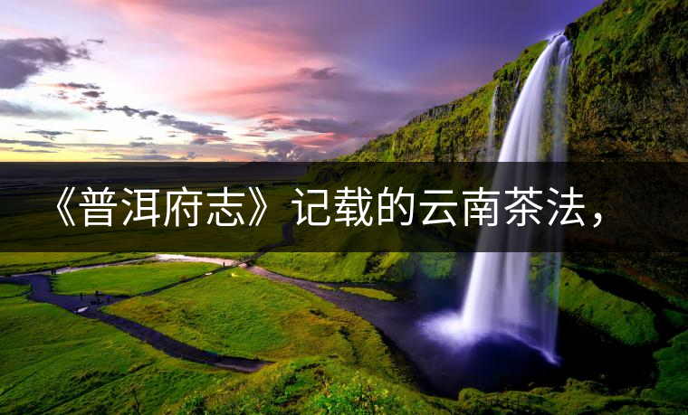 《普洱府志》記載的云南茶法，歷史上唯一為一種茶量身定制的法律