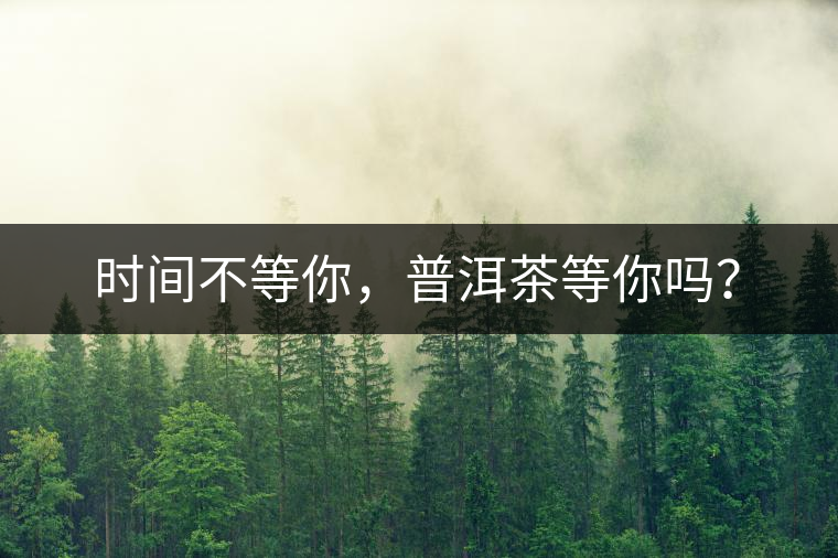 時間不等你，普洱茶等你嗎？