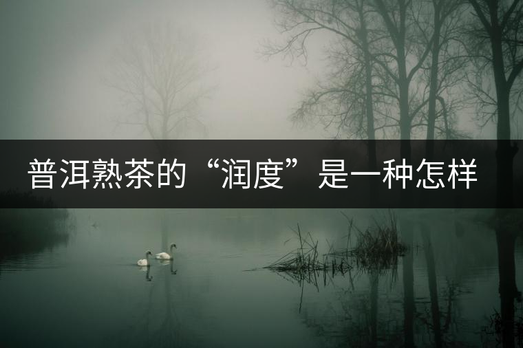 普洱熟茶的“潤度”是一種怎樣的體驗？
