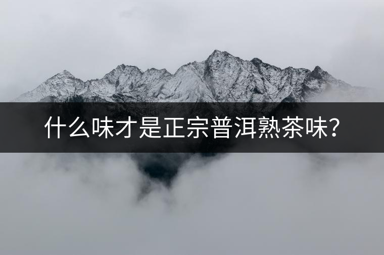 什么味才是正宗普洱熟茶味？