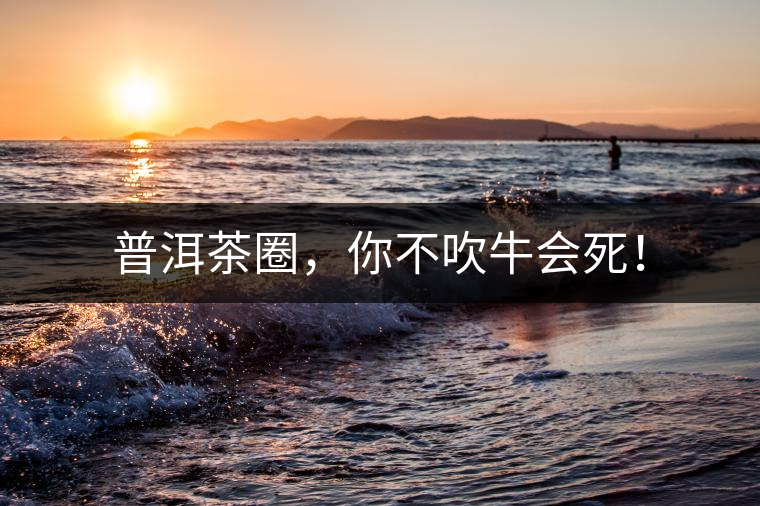 普洱茶圈，你不吹牛會死！