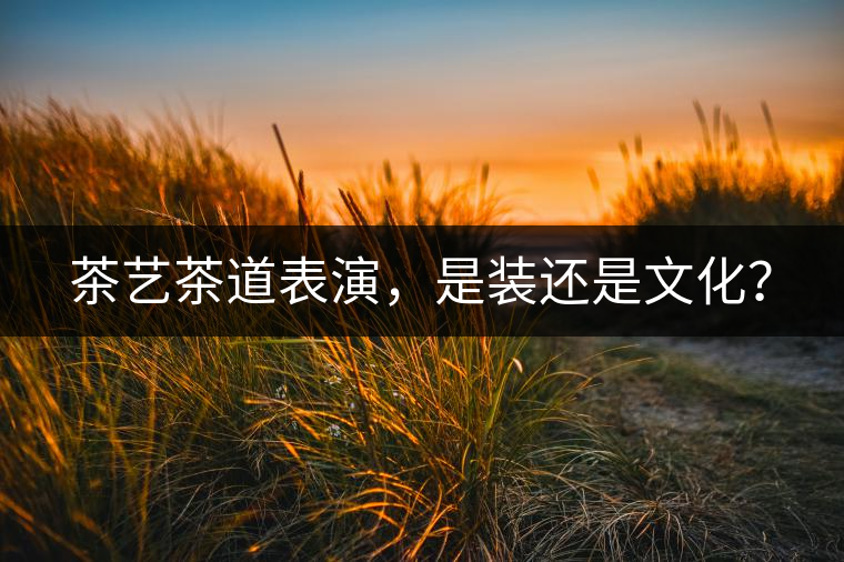 茶藝茶道表演，是裝還是文化？
