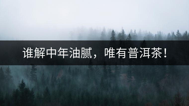 誰(shuí)解中年油膩，唯有普洱茶！