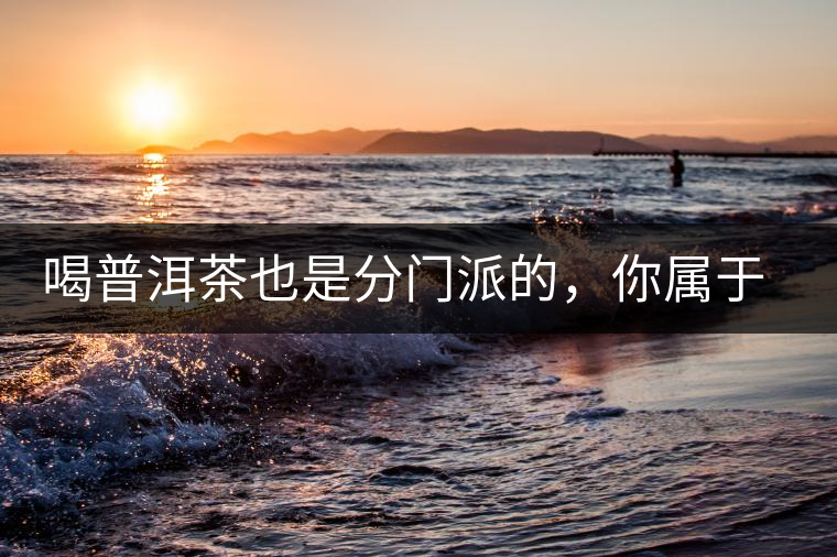 喝普洱茶也是分門派的，你屬于哪派呢？