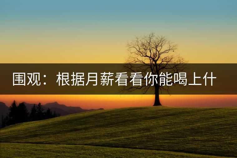 圍觀：根據(jù)月薪看看你能喝上什么茶？