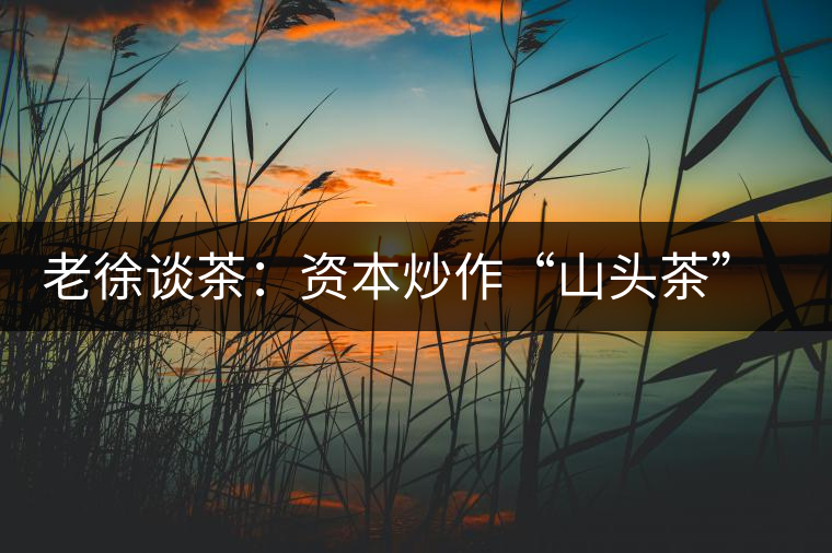 老徐談茶：資本炒作“山頭茶”—普洱茶何去何從？