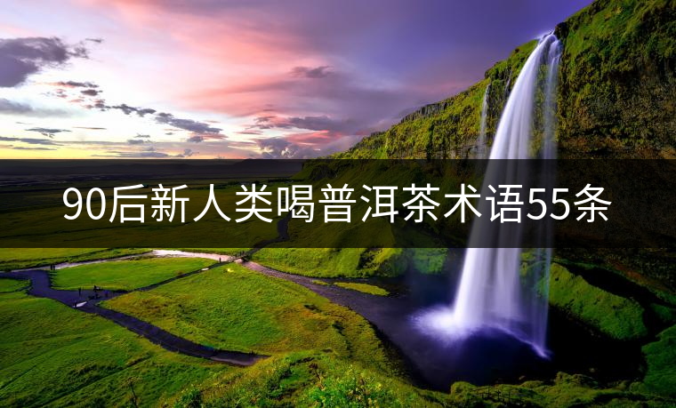 90后新人類喝普洱茶術(shù)語(yǔ)55條
