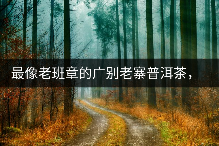 最像老班章的廣別老寨普洱茶，卻是冰島派來的臥底