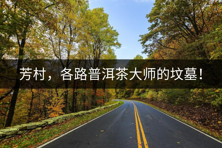 芳村，各路普洱茶大師的墳墓！